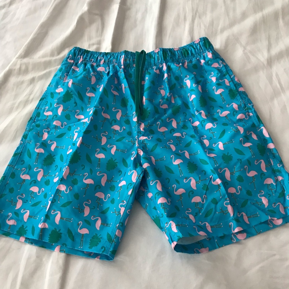 Flamingo Swim Shorts